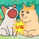 波波猫vs柴犬