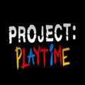 projectplaytime官方版