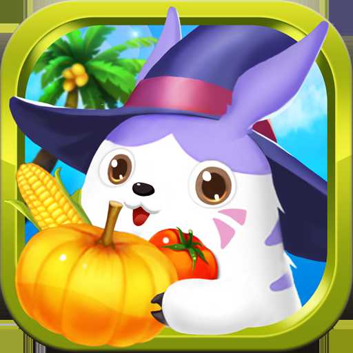 小小龙猫岛最正版