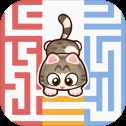 迷宫猫Rookie